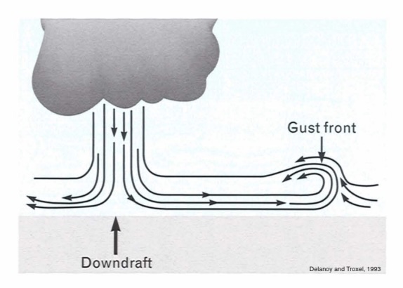Gusty - mesh networks for real-time, off-grid reporting of thunderstorm gust fronts
